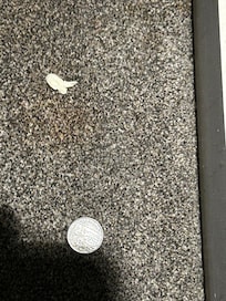 Used tissue and coin - clearly not been cleaned