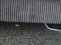 Food left on floor from prior guests// host didnt clean properly