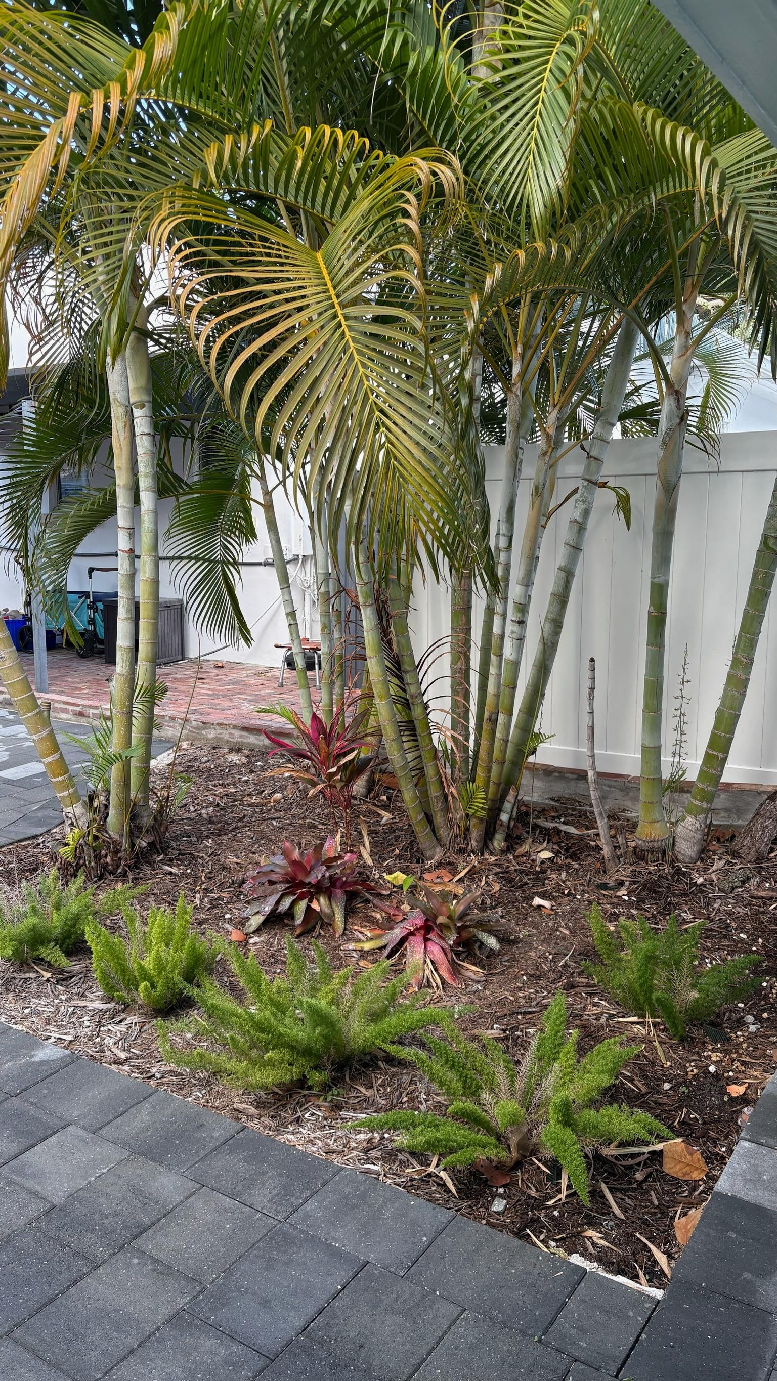 Lovely  landscaping
