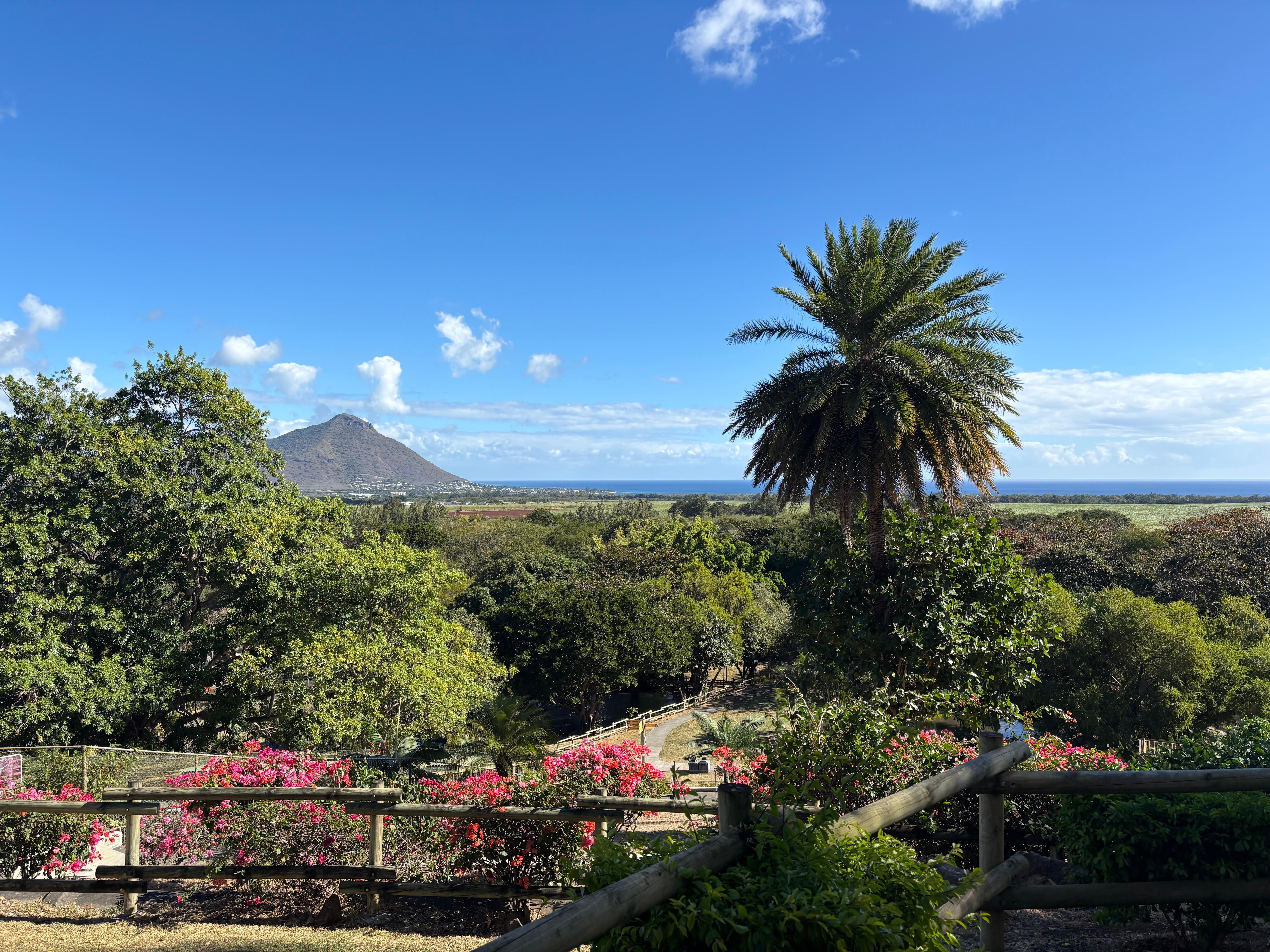 View at Casela Animal Park 
