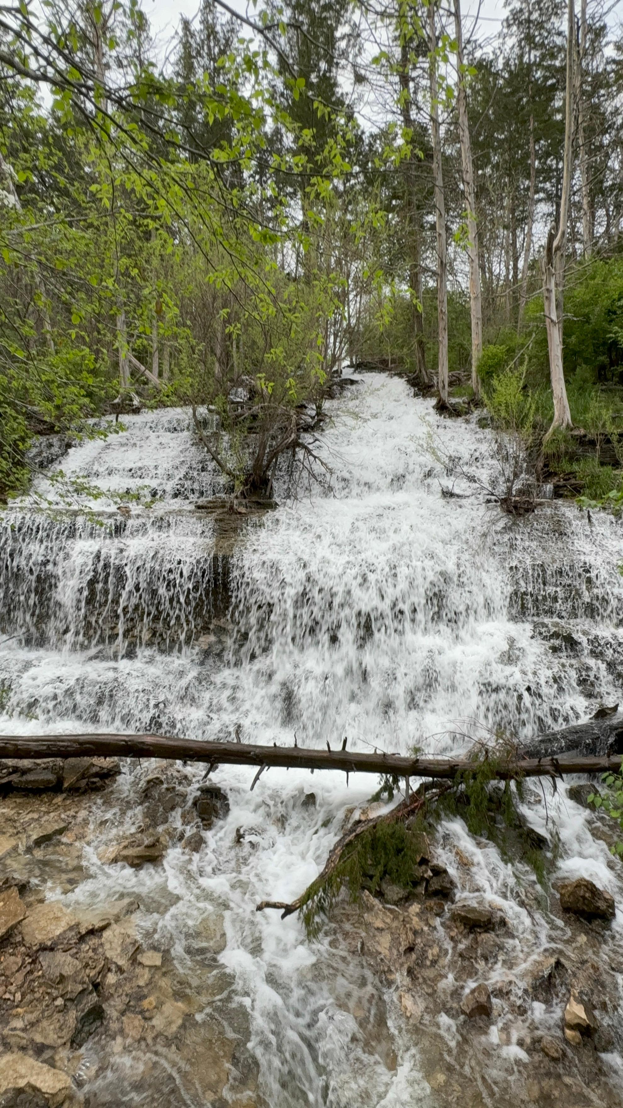 Waterfall that we walked to just out the back door! 