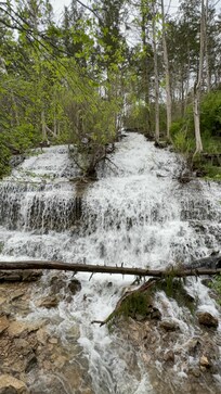 Waterfall that we walked to just out the back door!