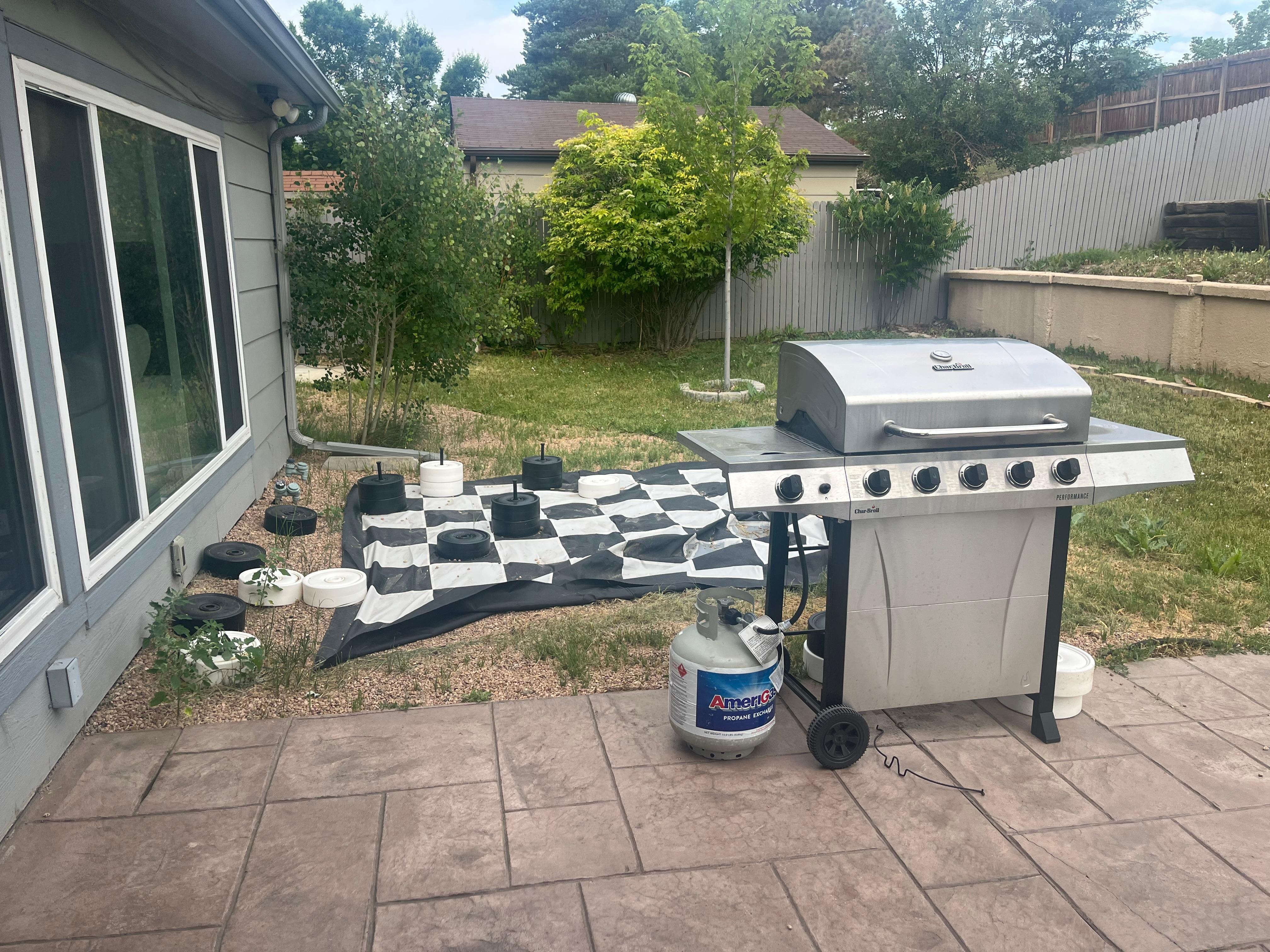 Back yard not kept up with weeds 