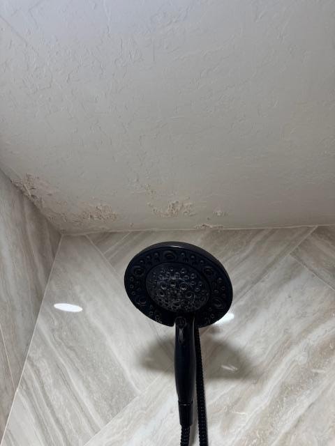 Mold in Bathroom