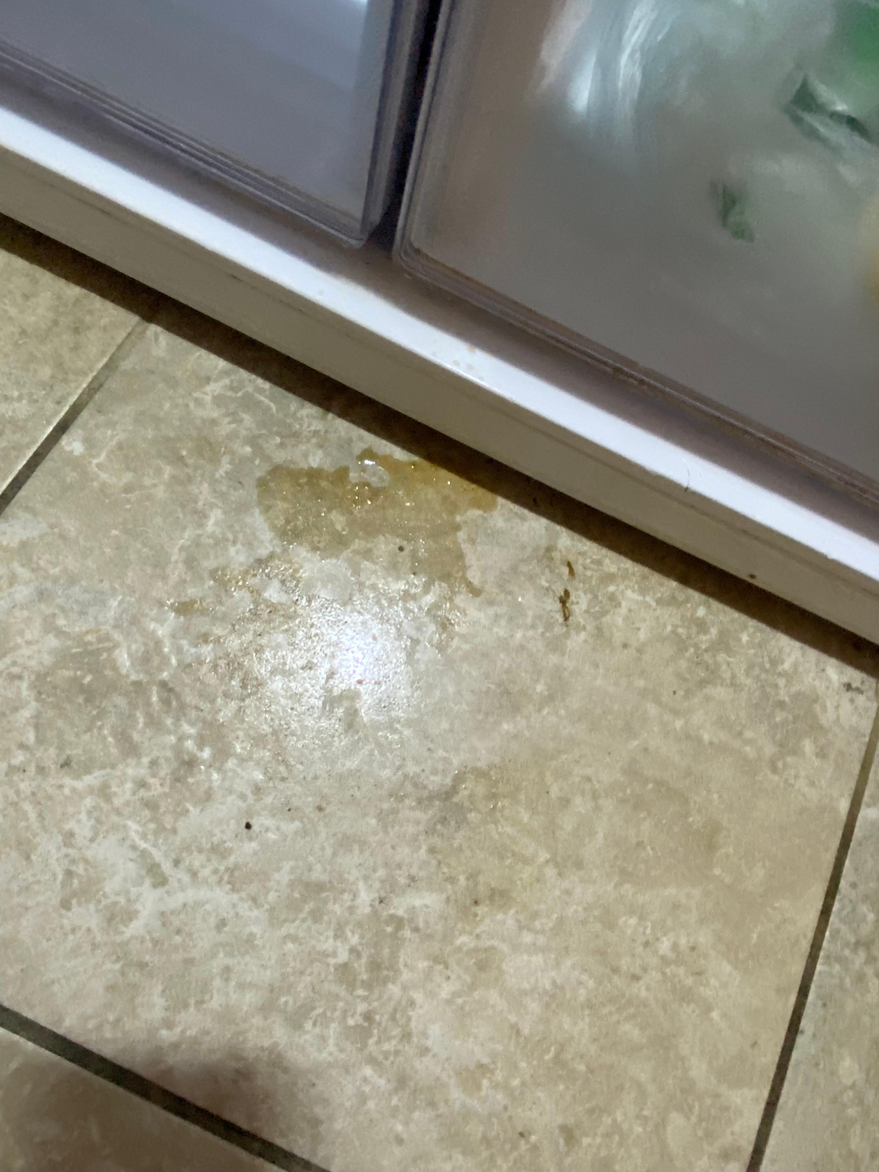 Kitchen floor 