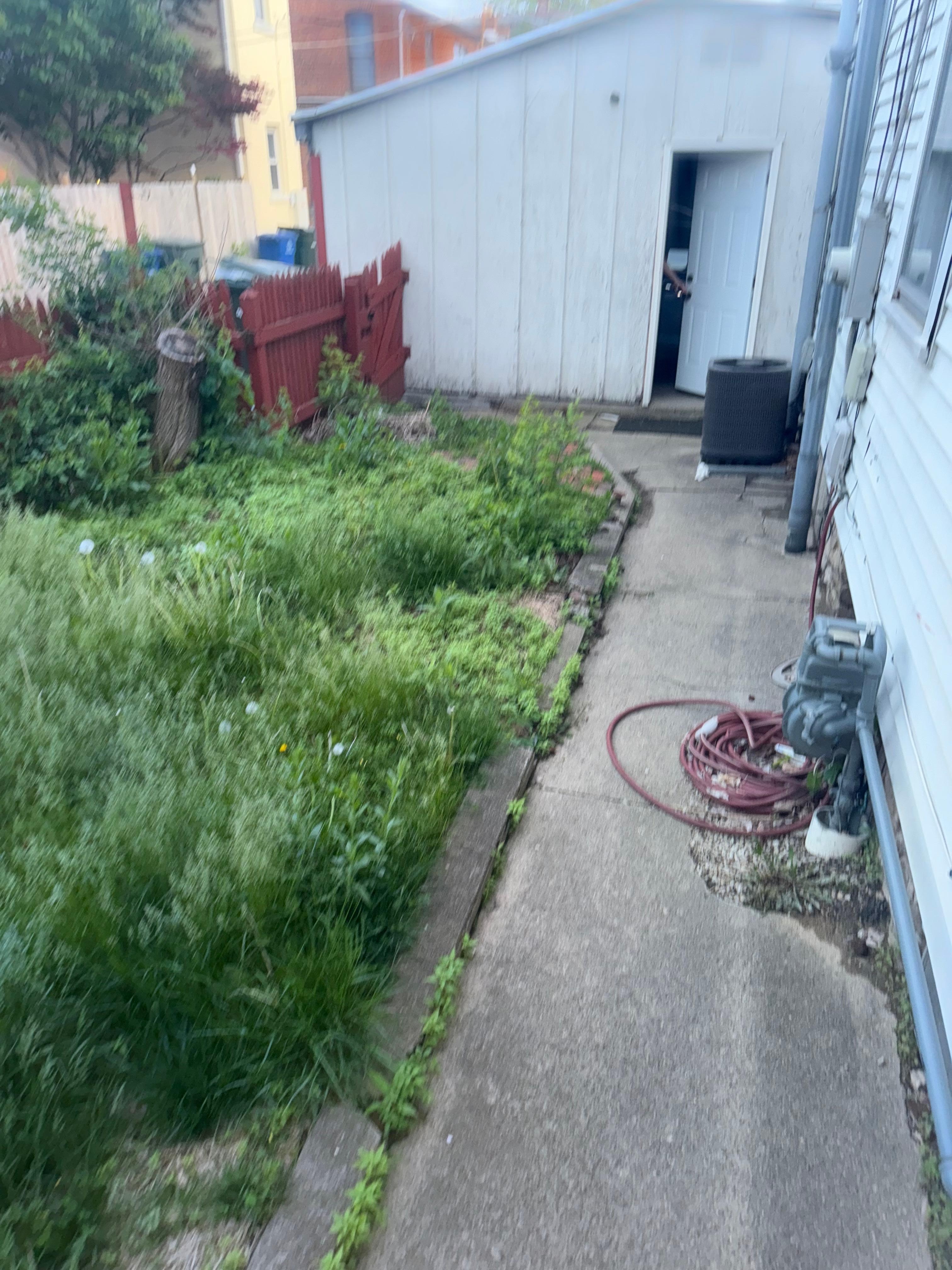 Unkept yard