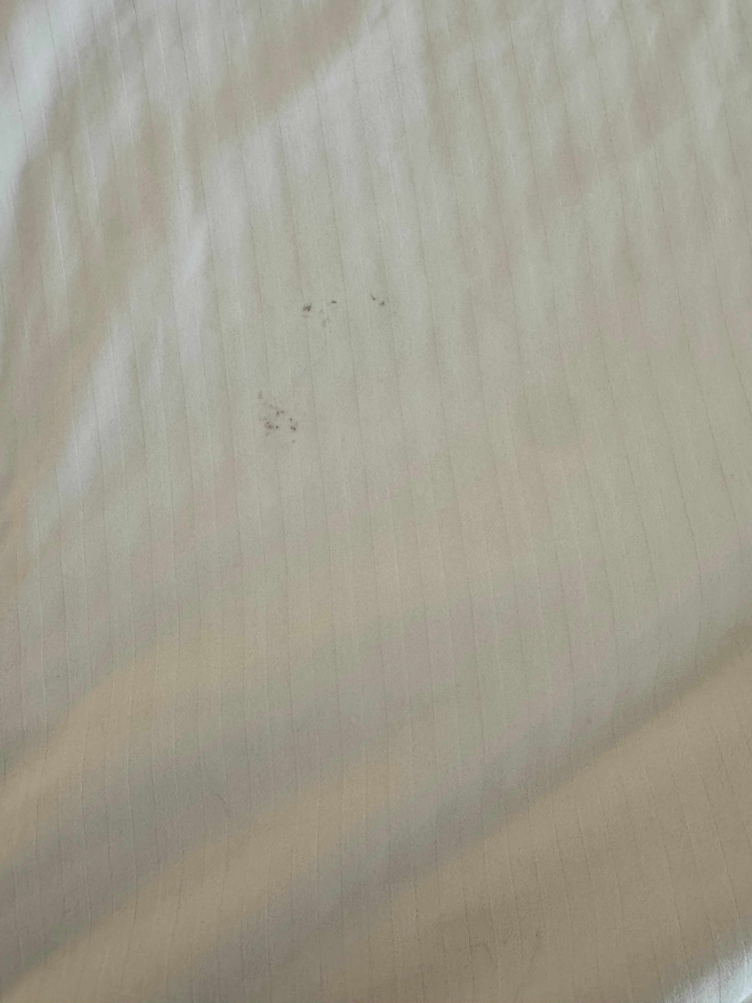 Obvious stain on the sheet 