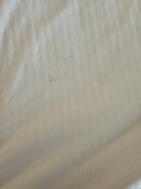 Obvious stain on the sheet