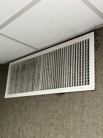 moldy vent
