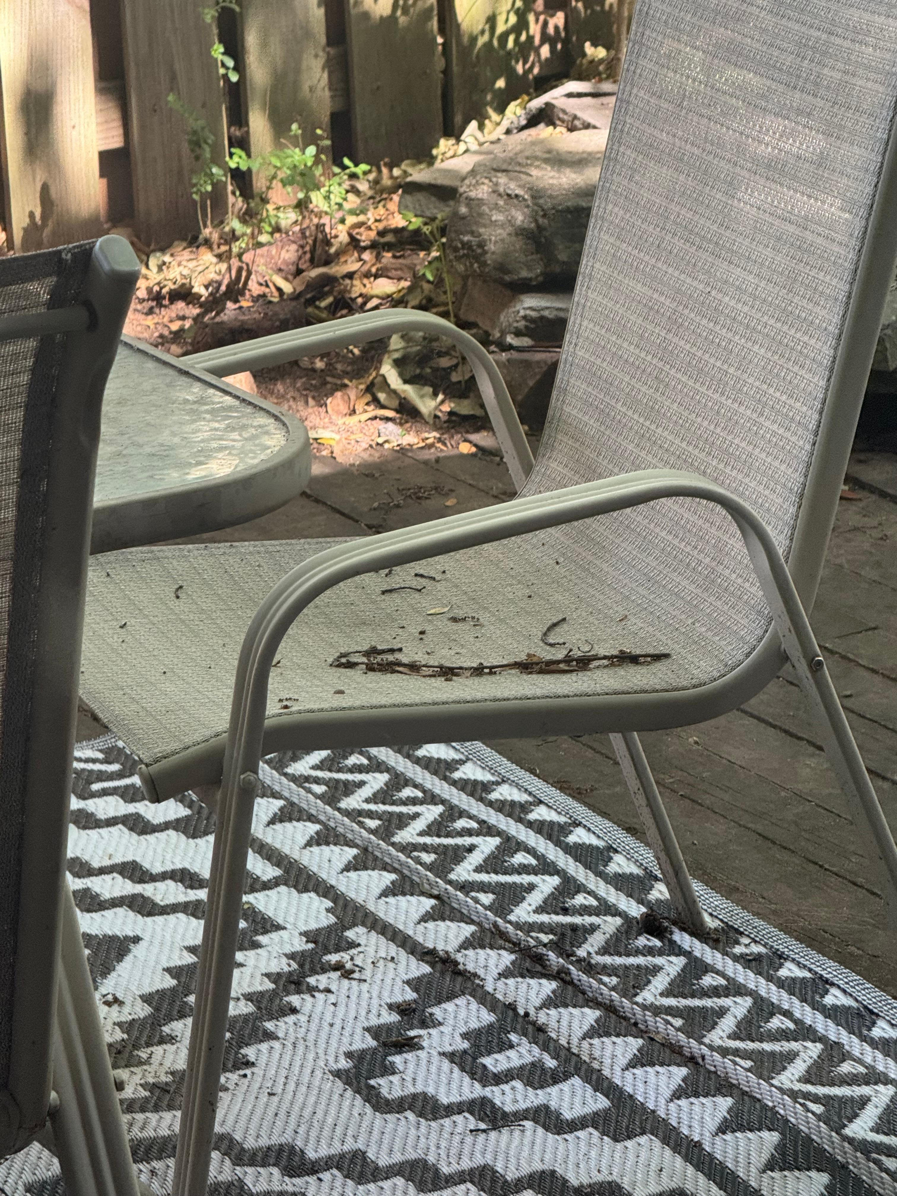 Outside chairs looking welcoming