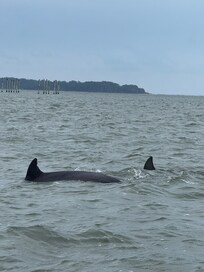 Captain Randyâs boat tour with Chincoteaque Island Adventures