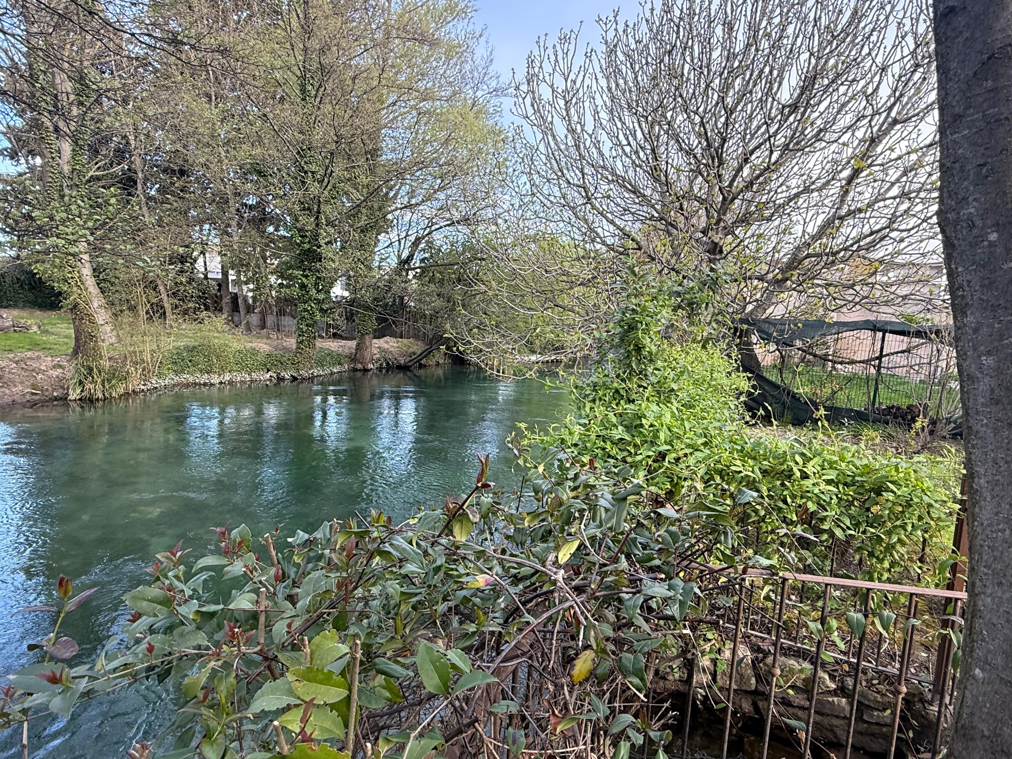 A peaceful river right outside your back door!