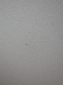Joint stains on the ceiling.. good times. REEKED HORRIBLY AND I'M FROM COLORADO. IYKYK.