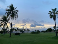 View of the property grounds