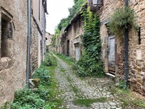 Book a day trip to Albi, Cordes, Gaillac, towns close to Toulouse for a bigger picture of the area.