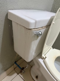 Nasty toilet