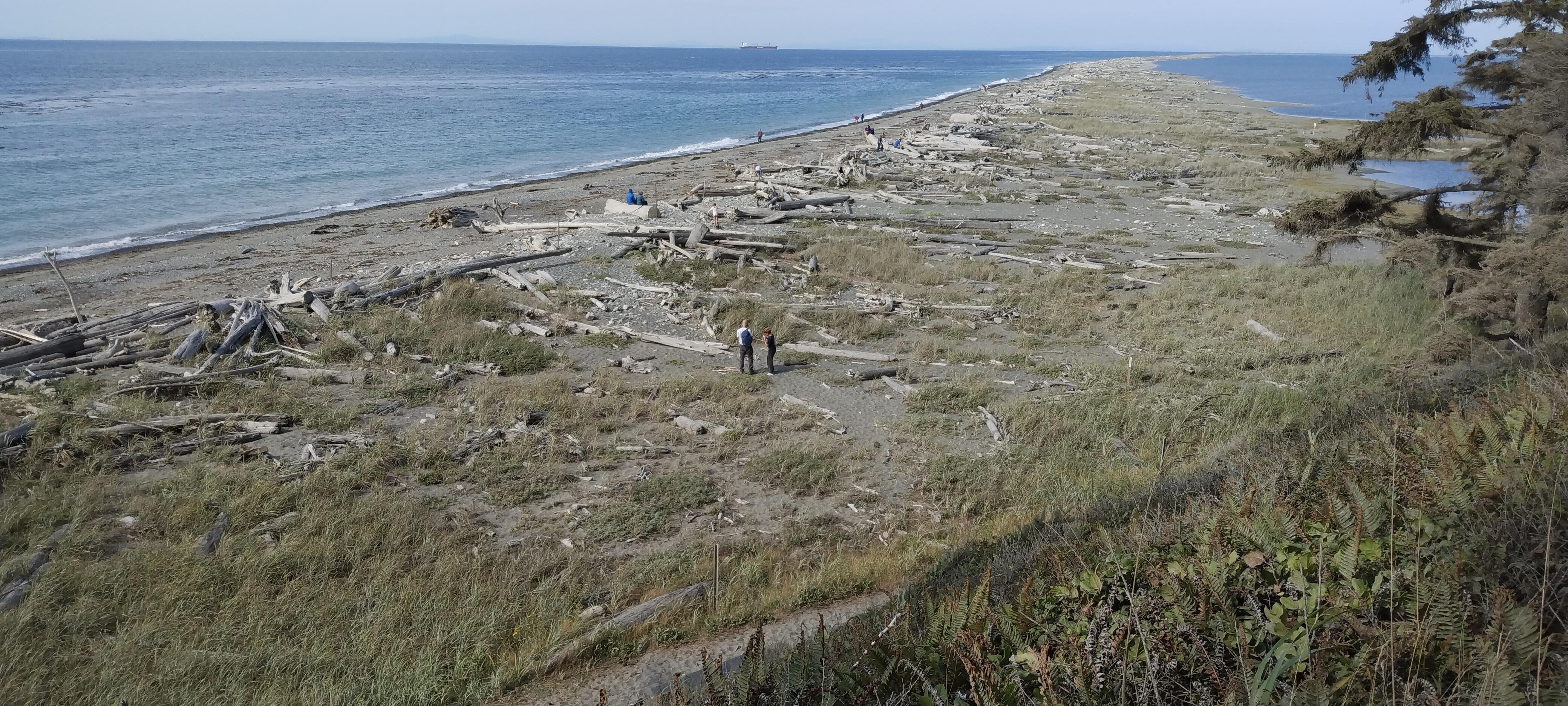 The Dungeness sandspit close by to the property.