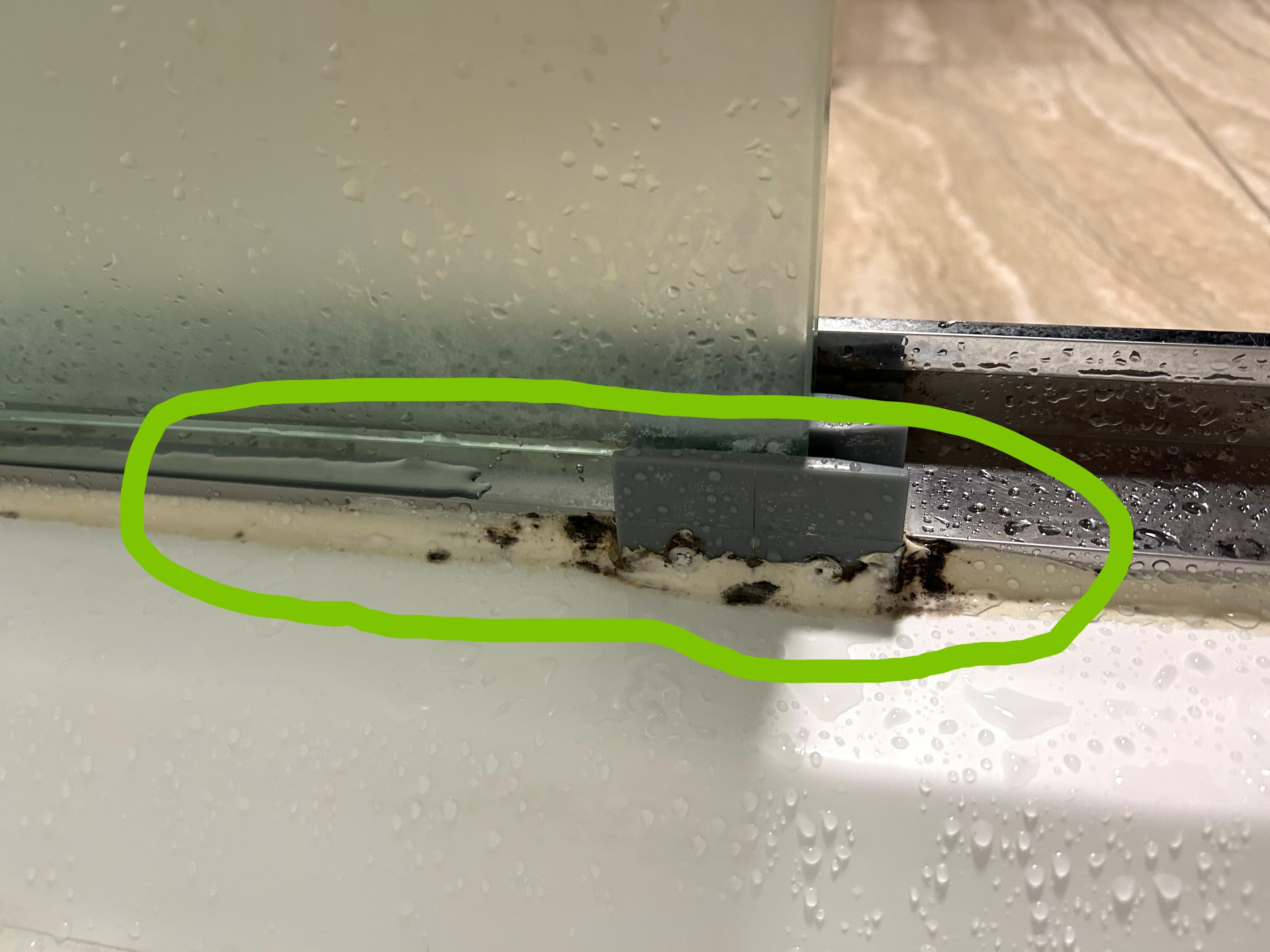 Mold on Bathroom Shower Caulk along sliding door