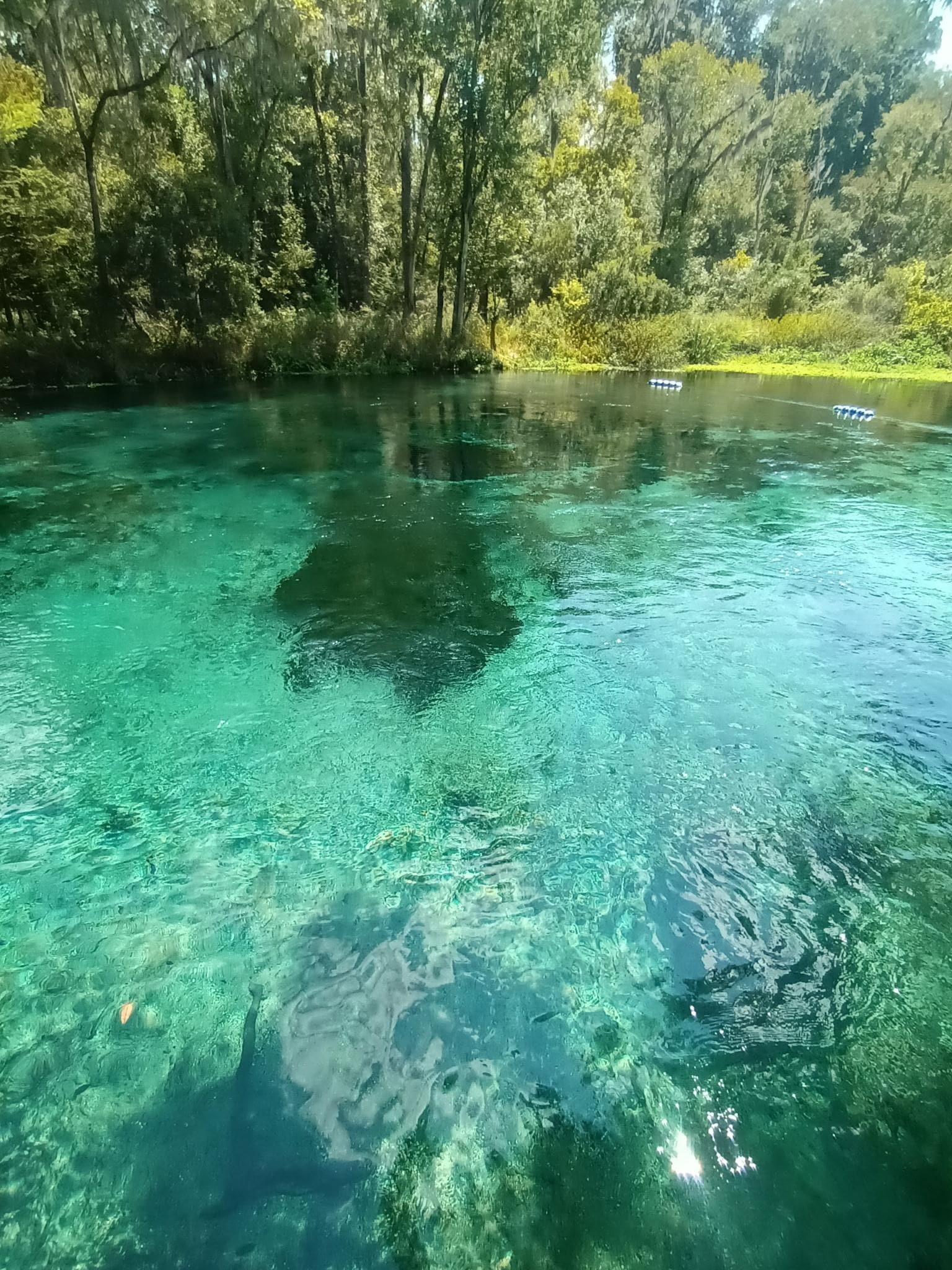 Ichetucknee Springs just a short 10 minute drive away