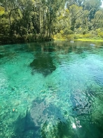 Ichetucknee Springs just a short 10 minute drive away