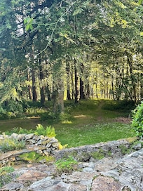 View from the terrace