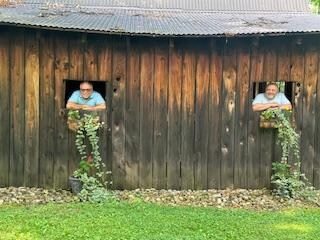 couple of horses waiting to be out to pasture