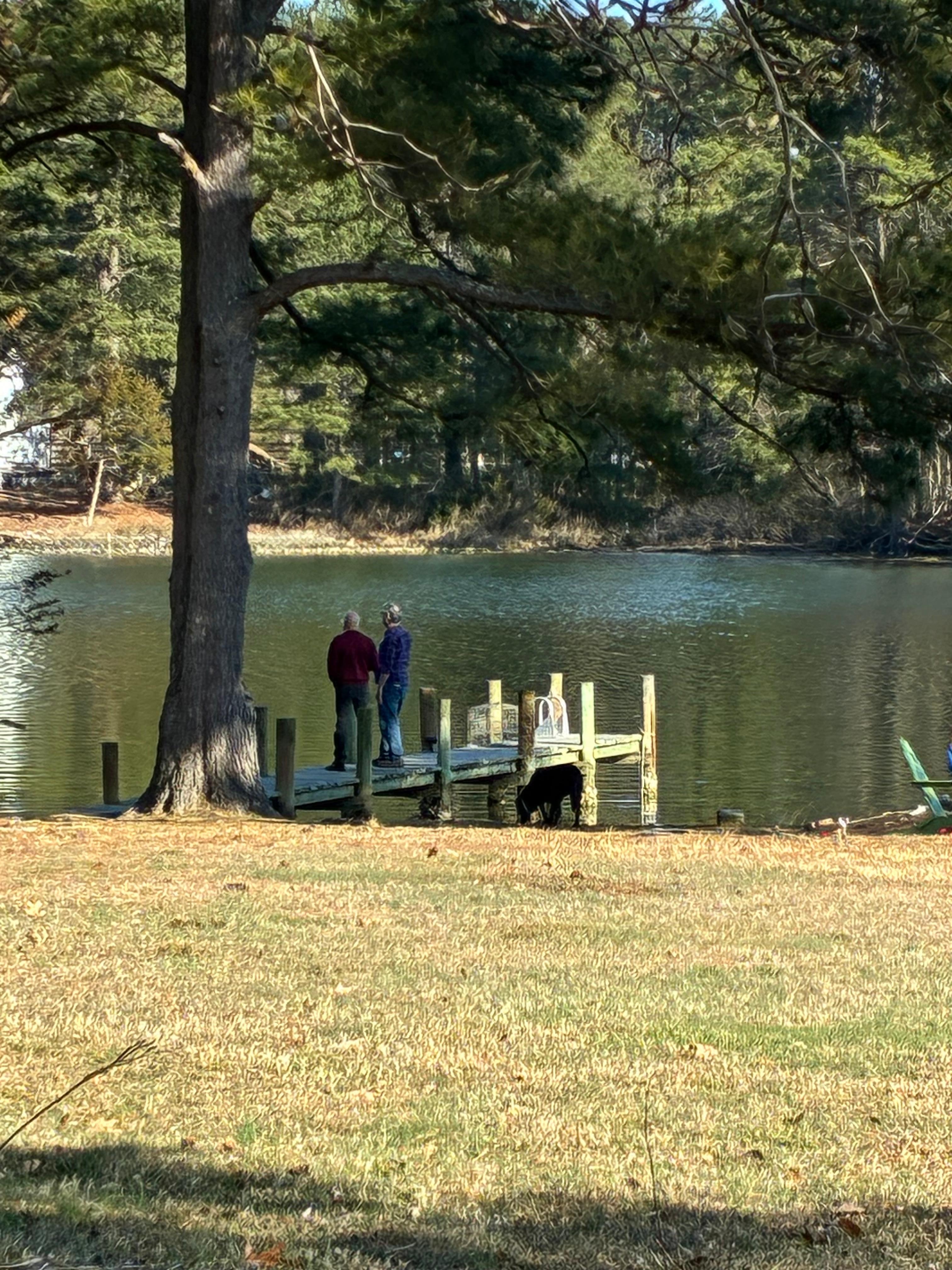 View of the dock from the kitchen. Big backyard.