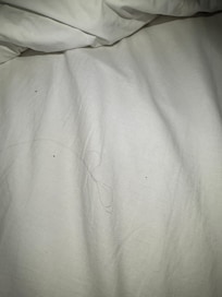 Human hair