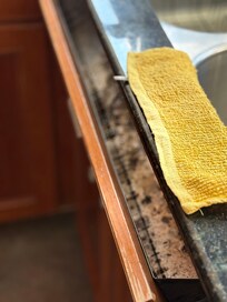 Black mold in kitchen
