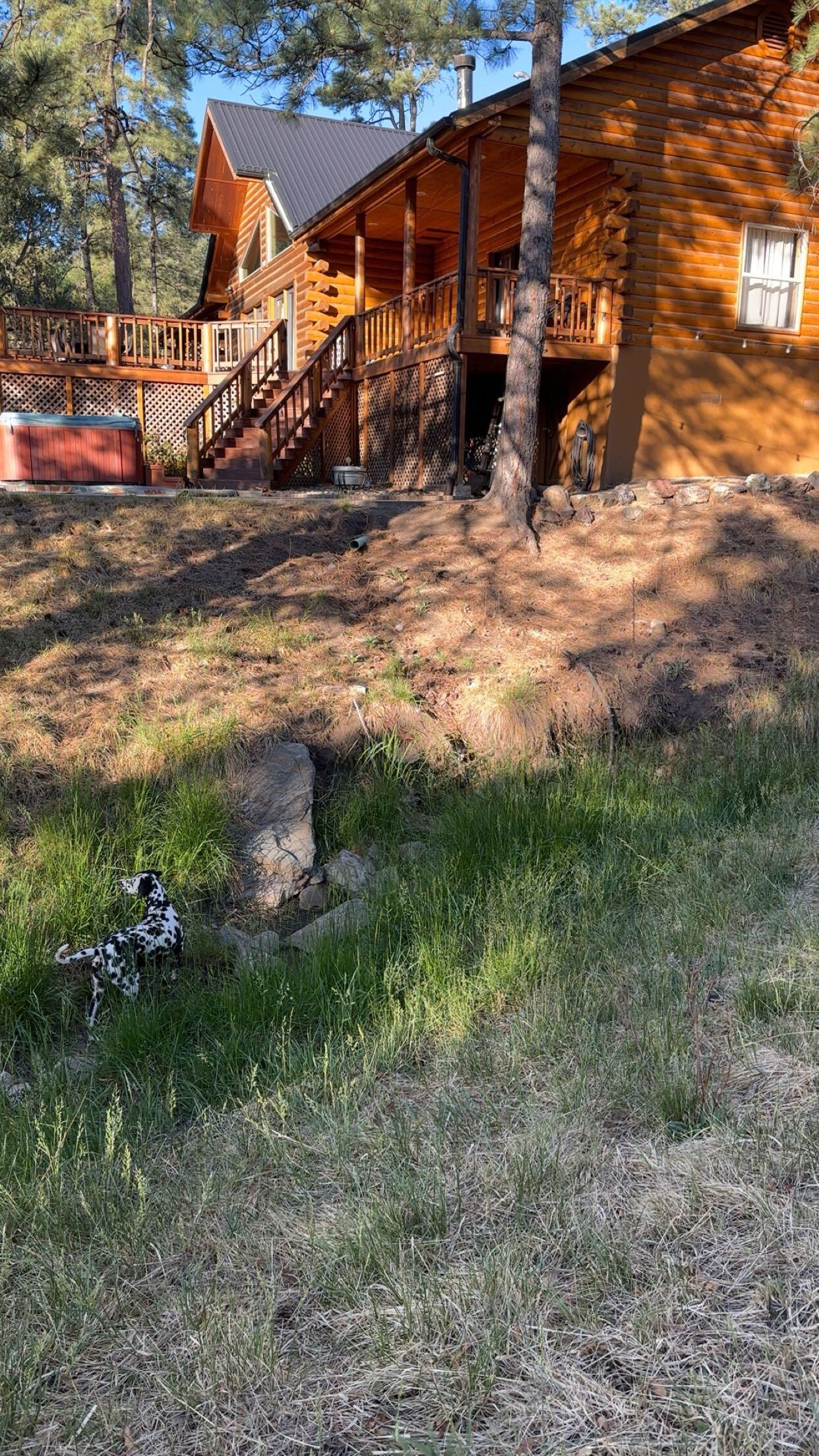 Bigger cabin on property. Our dog exploring since no one was there. 