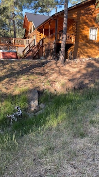 Bigger cabin on property. Our dog exploring since no one was there.