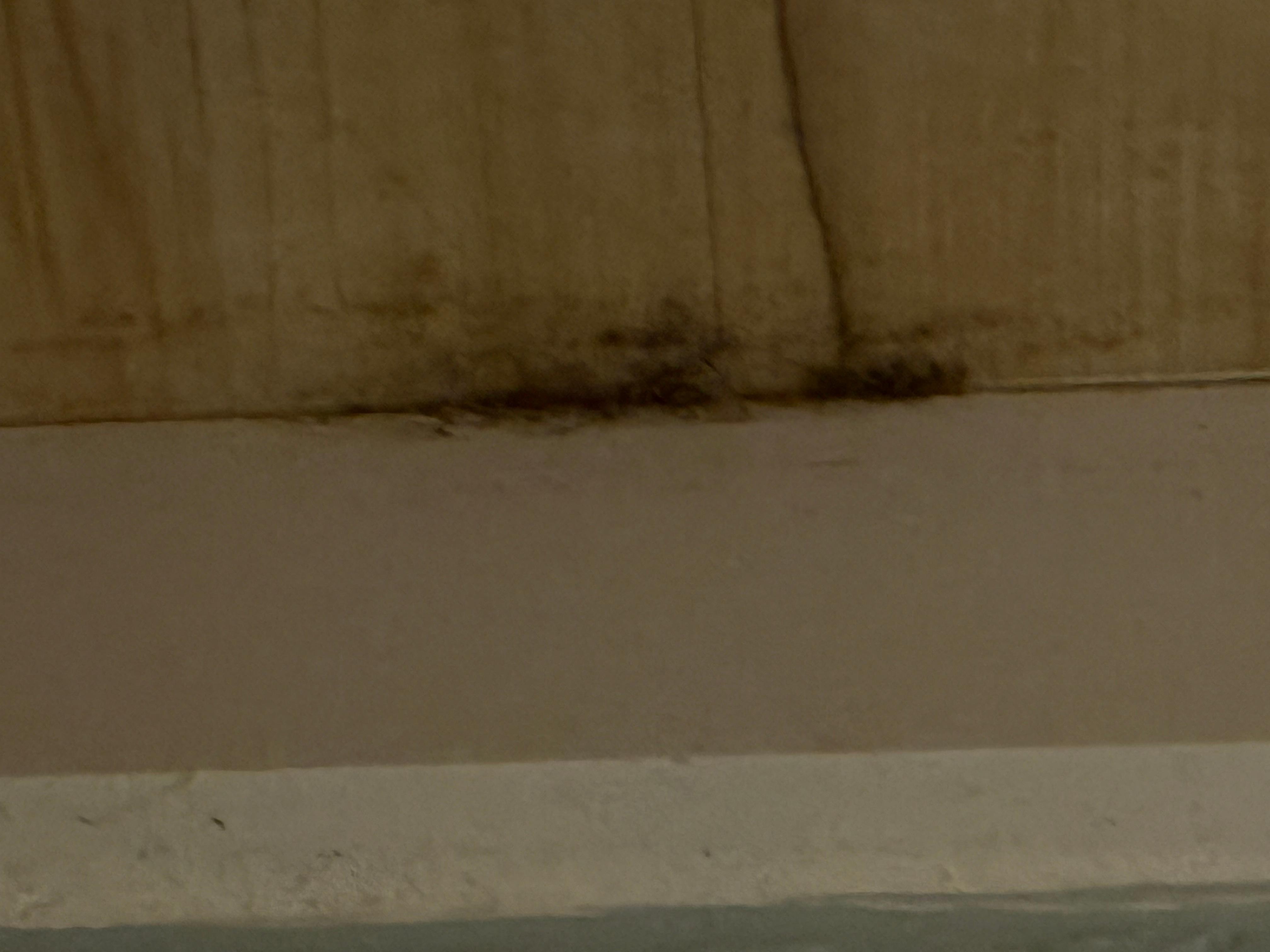 Looked like mold in the bedroom closet.