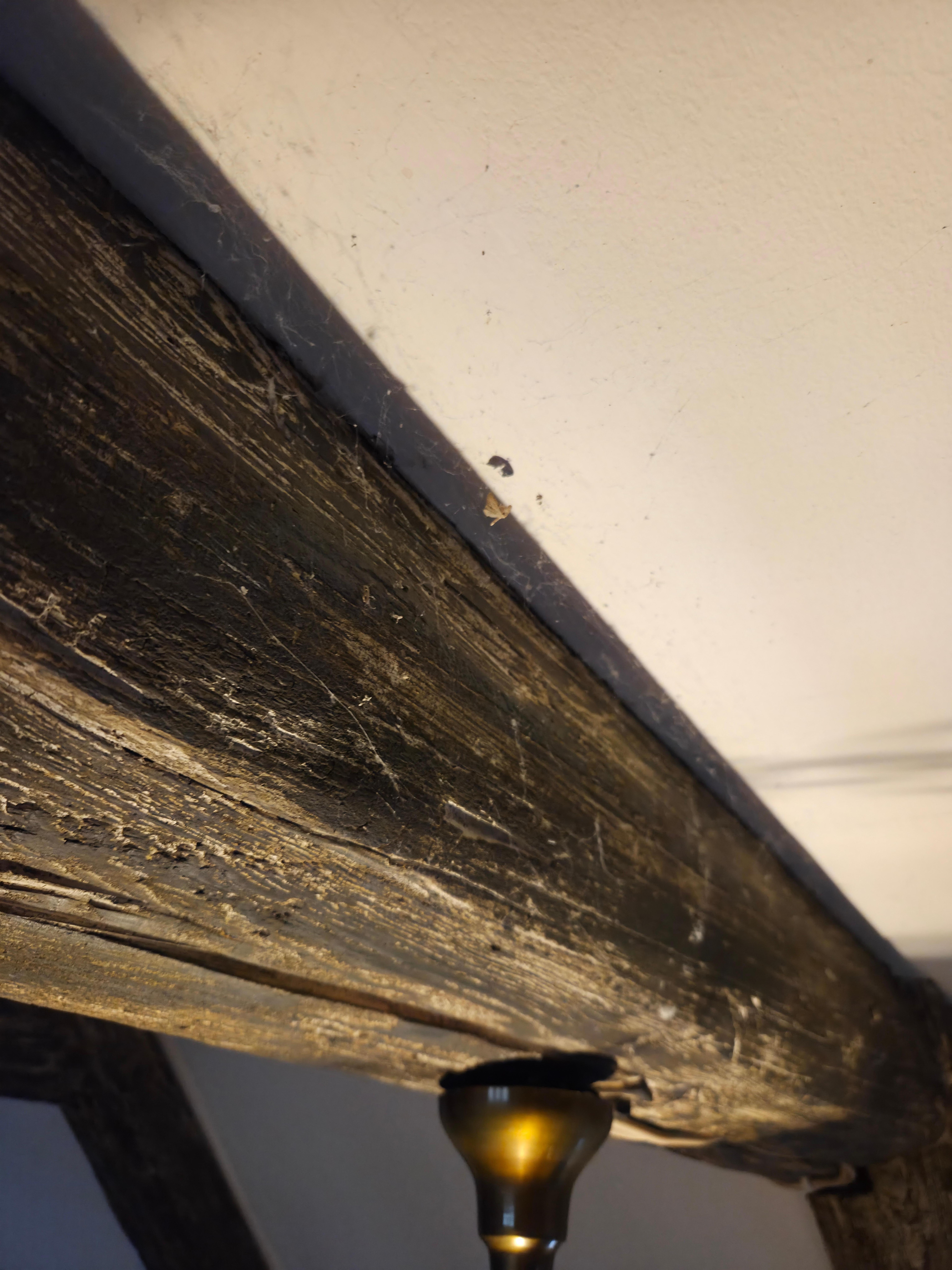 spindelvæv på loftet 