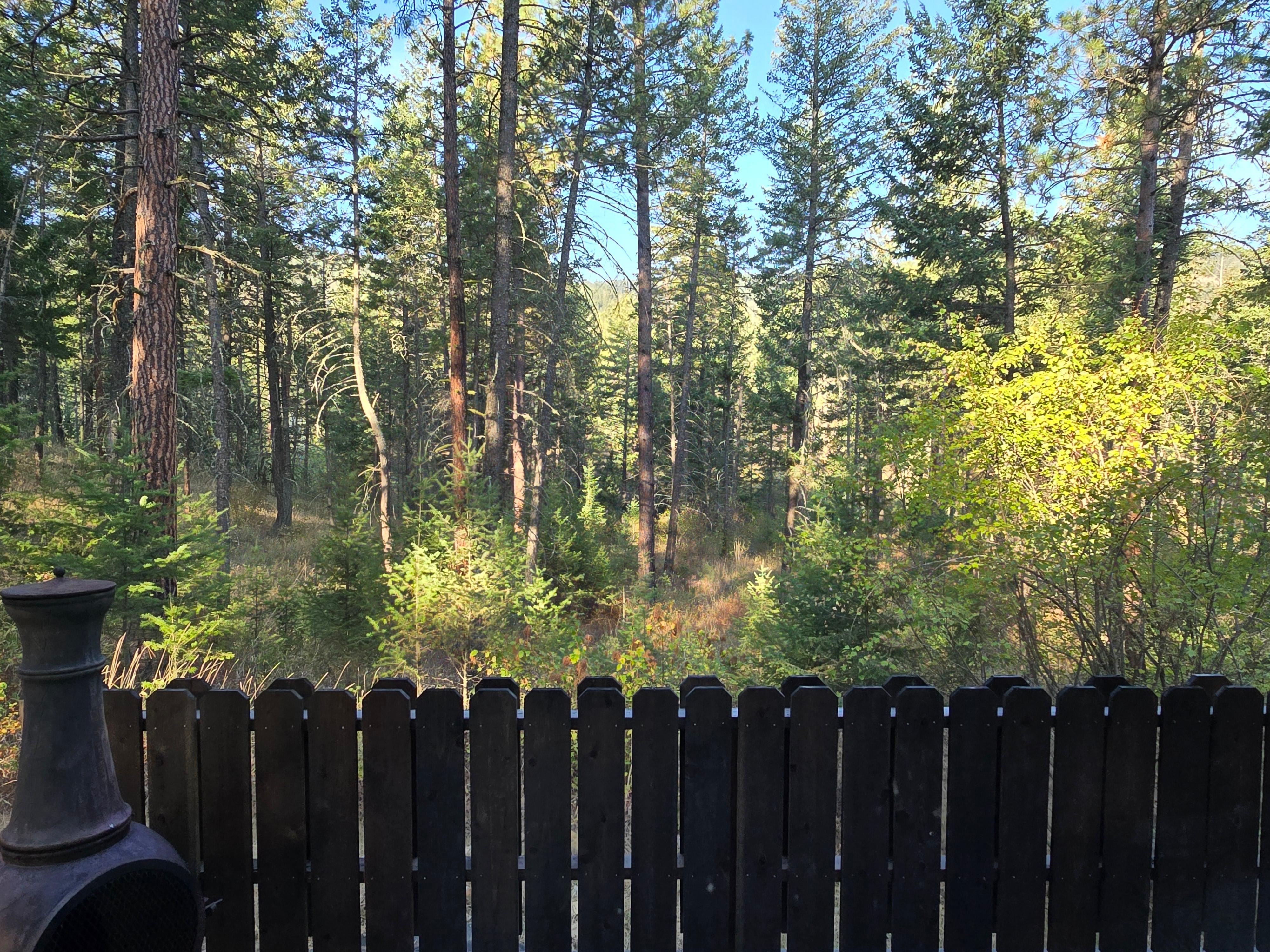 View from the back deck of cabin.