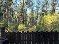 View from the back deck of cabin.