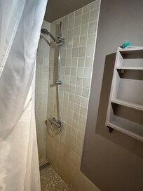 downstairs shower room (master bedroom)
