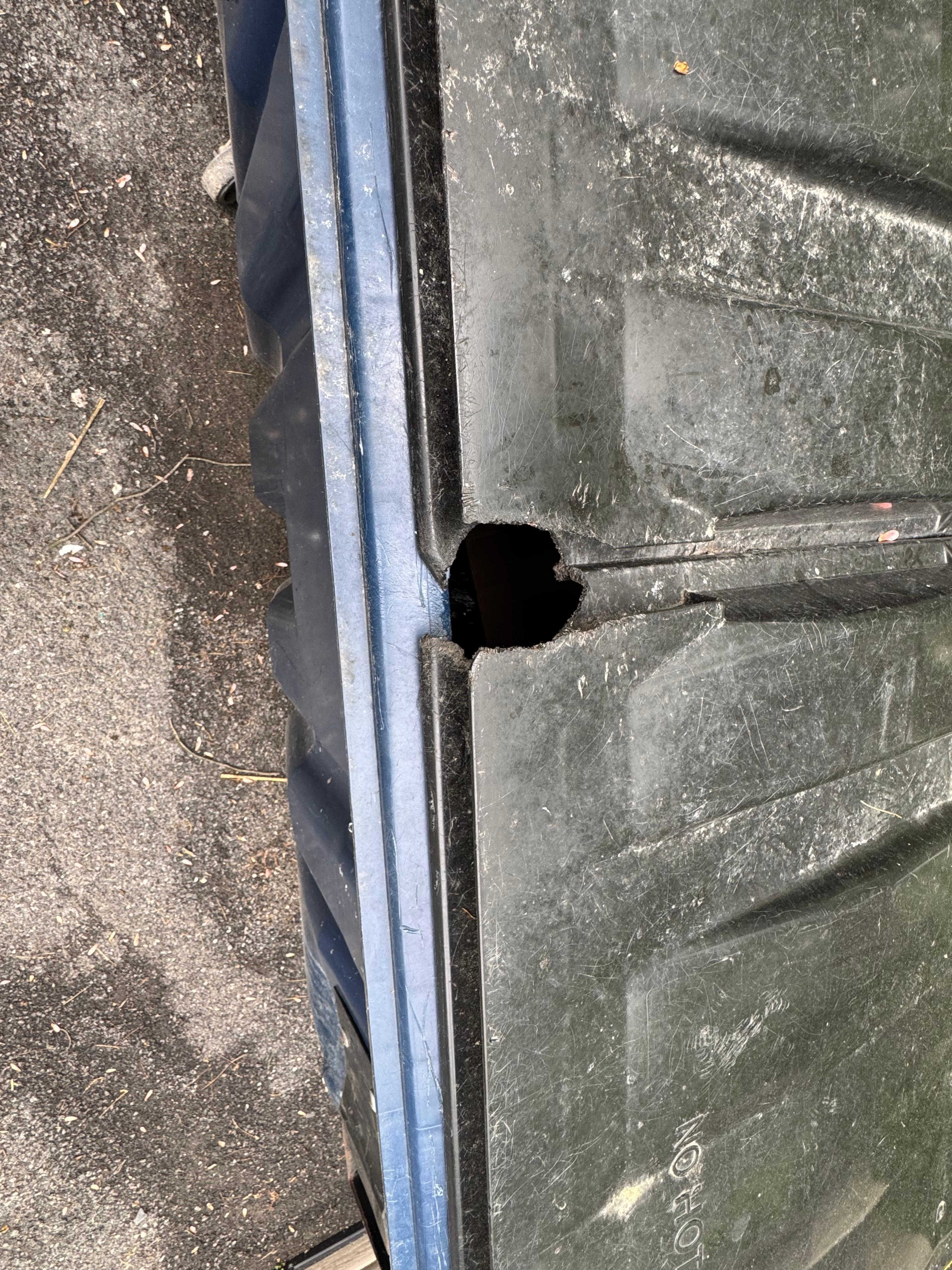 random Ithaca dumpster in fraternity area