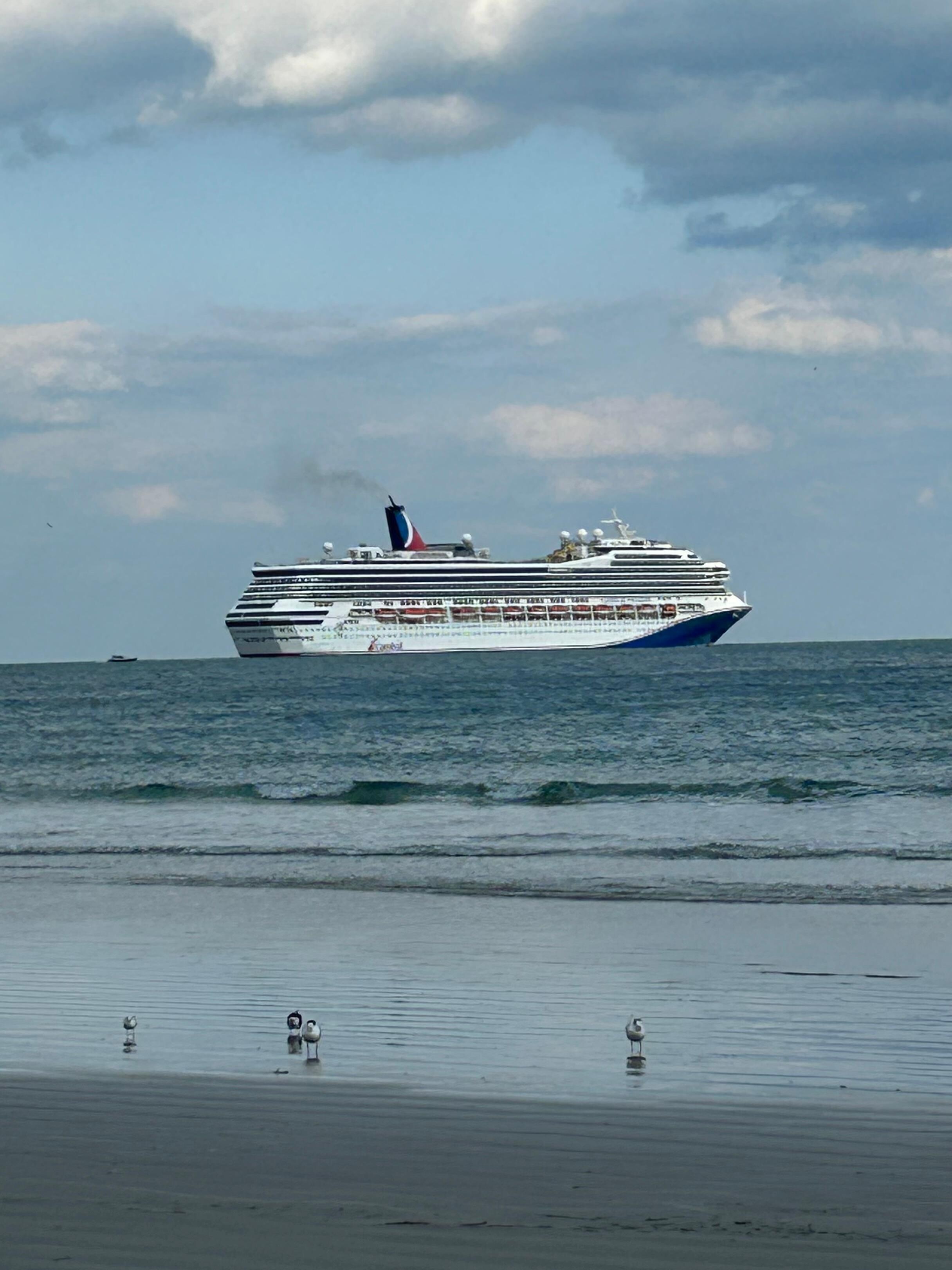 Love watching the cruise ships 