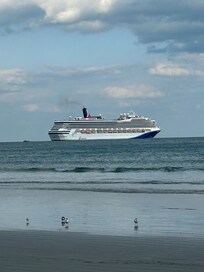 Love watching the cruise ships