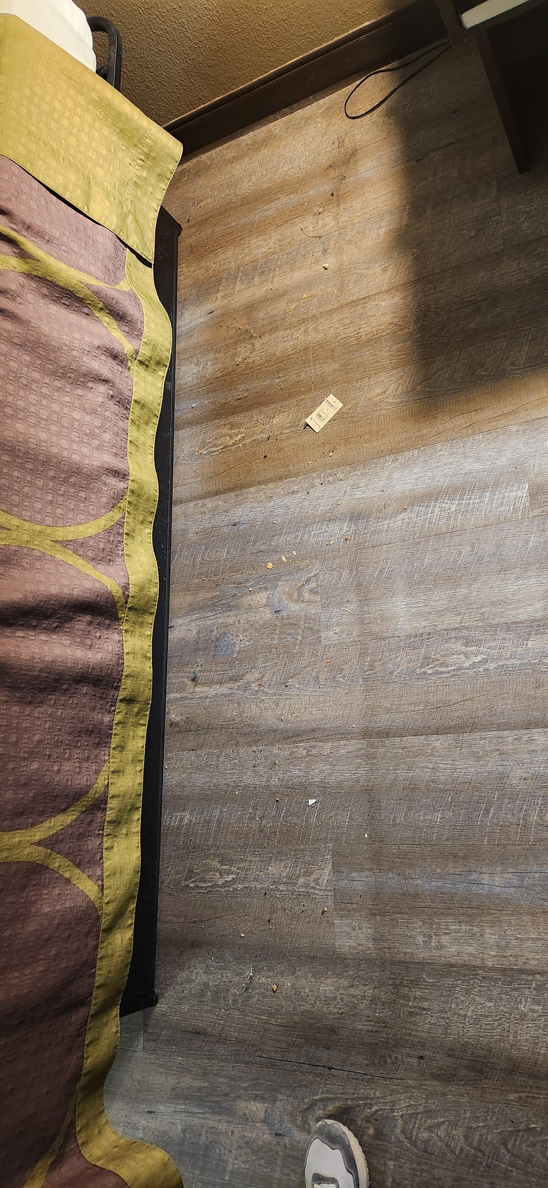 Dirt under bed (after moving).