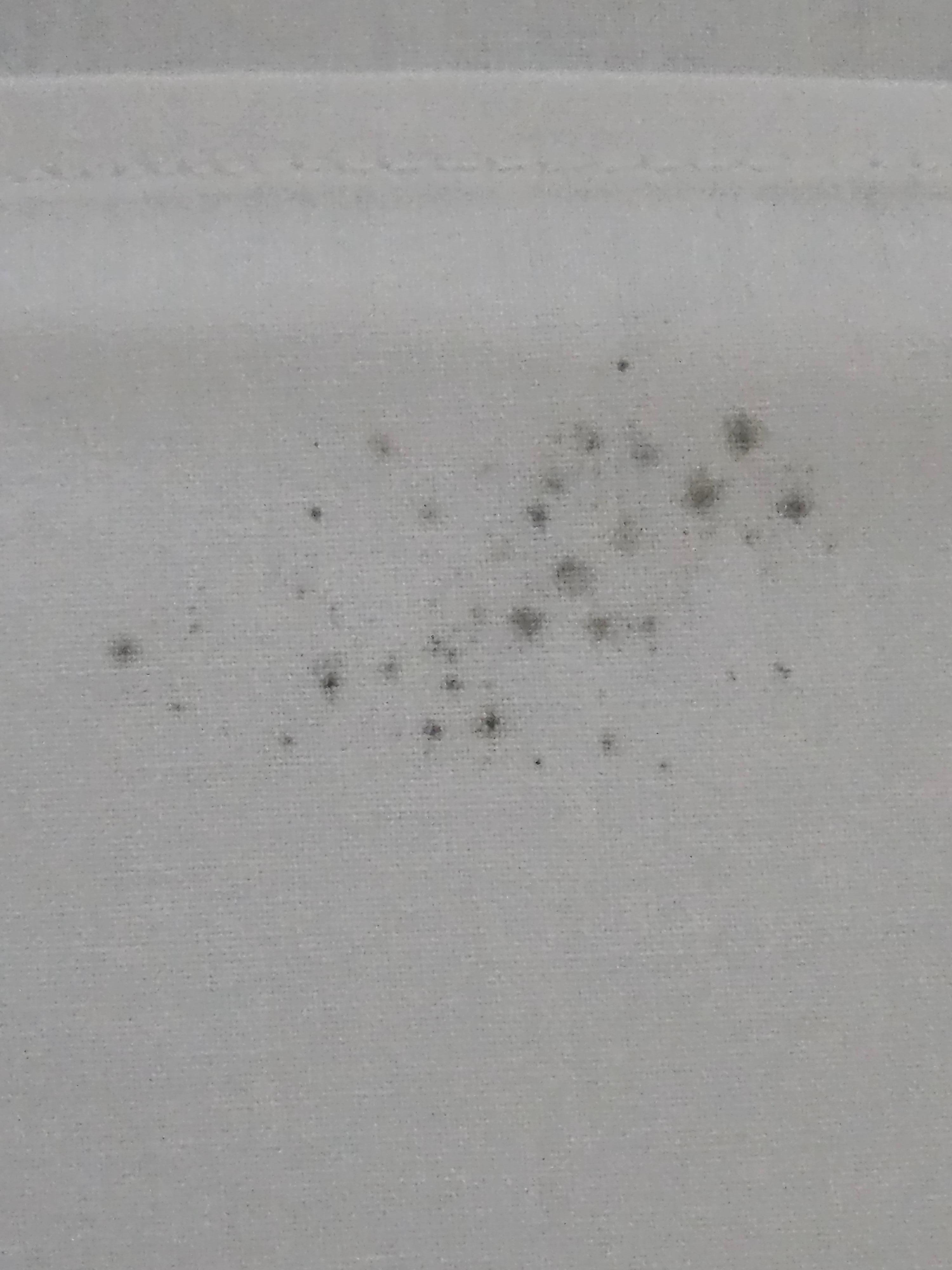 Mold on Bedsheets