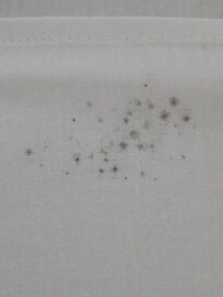 Mold on Bedsheets