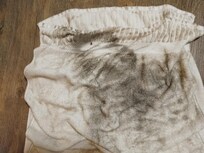 Wipe the floor twice,it was so dirty