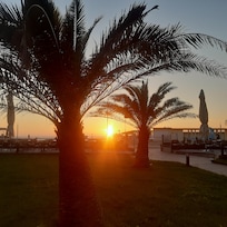 Vue du restaurant l'aquarium.