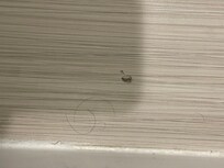 Hair on the bathroom floor