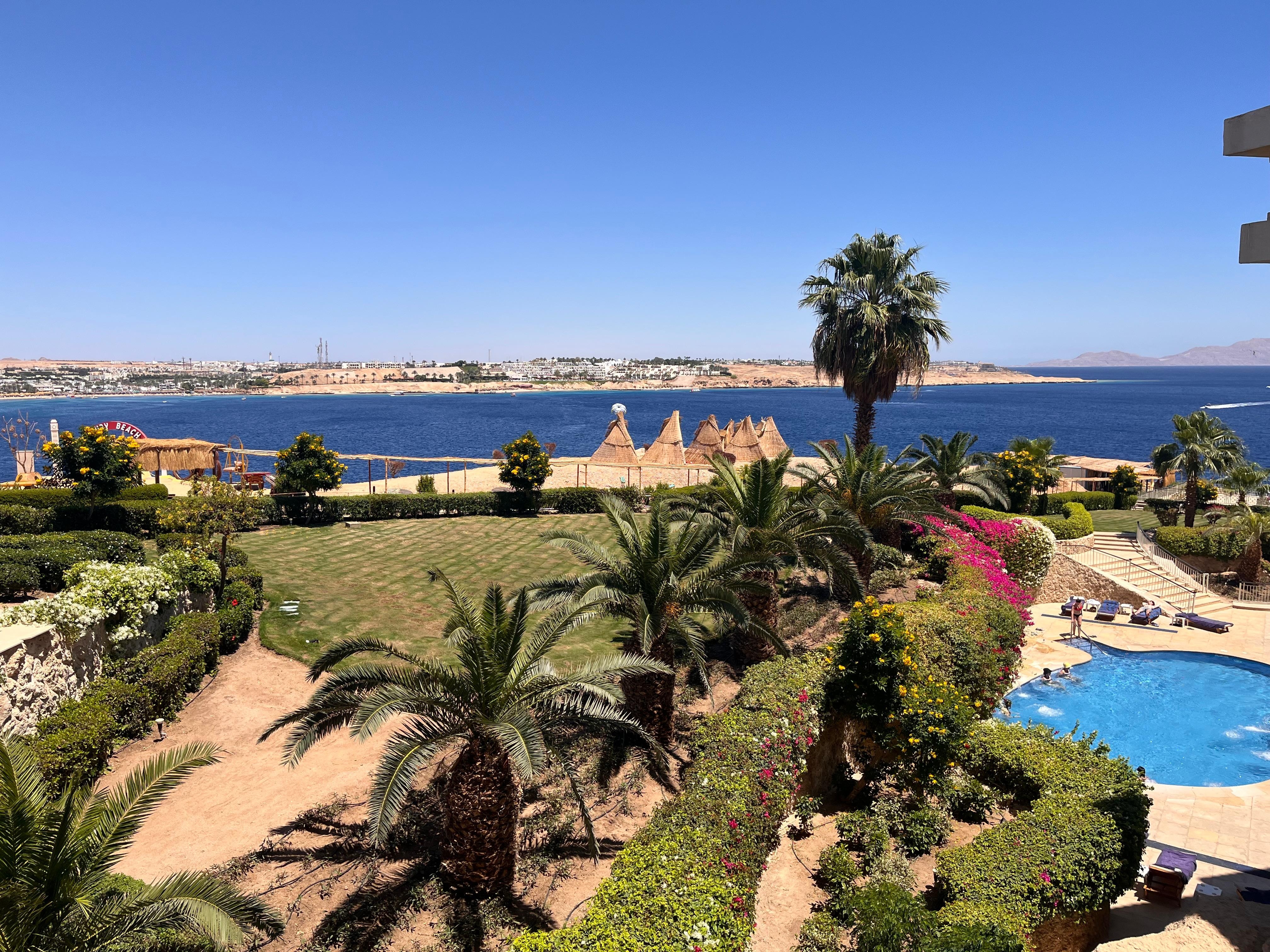 View from my balcony 