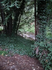 View from the deck