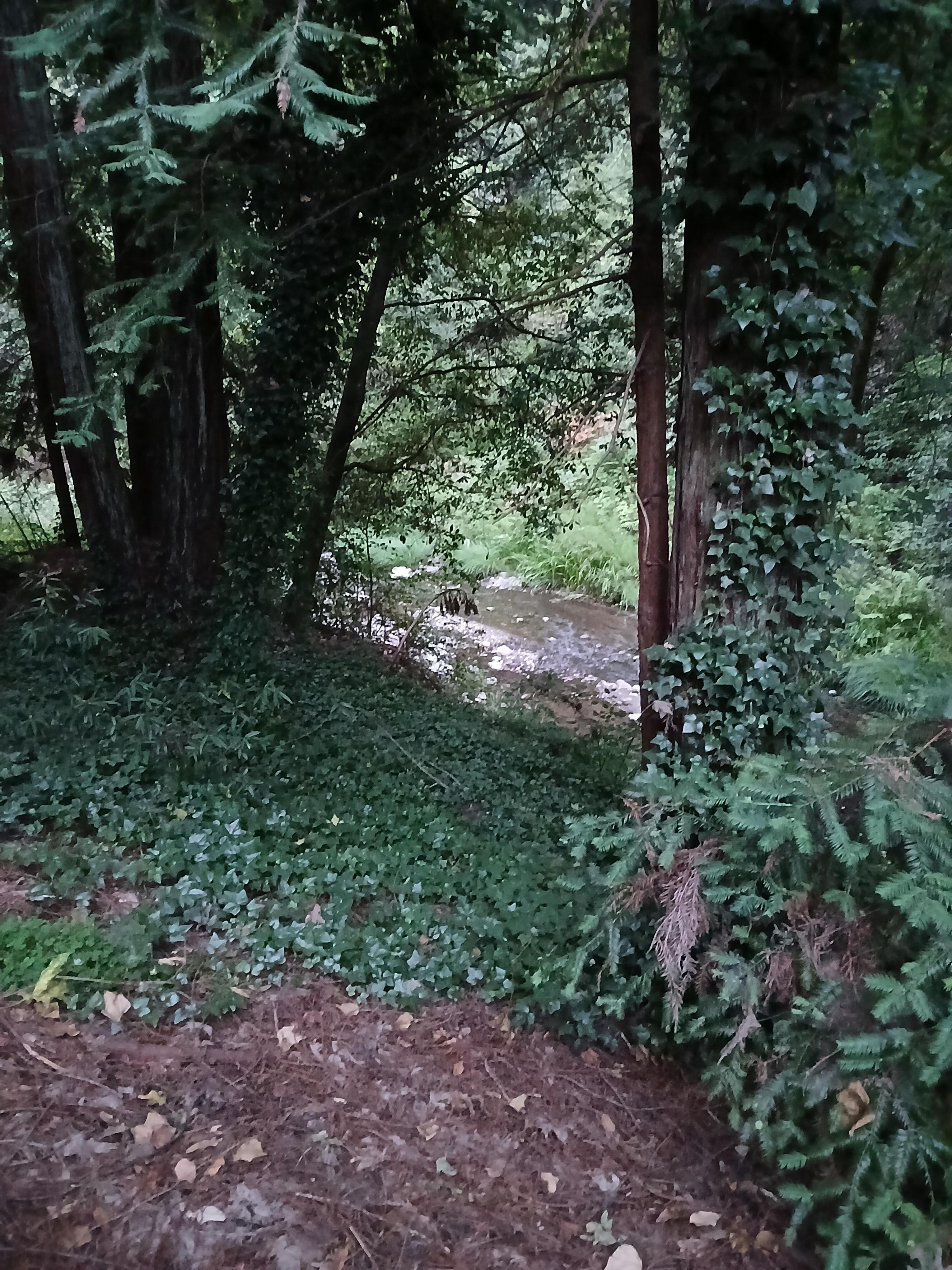 View from the deck