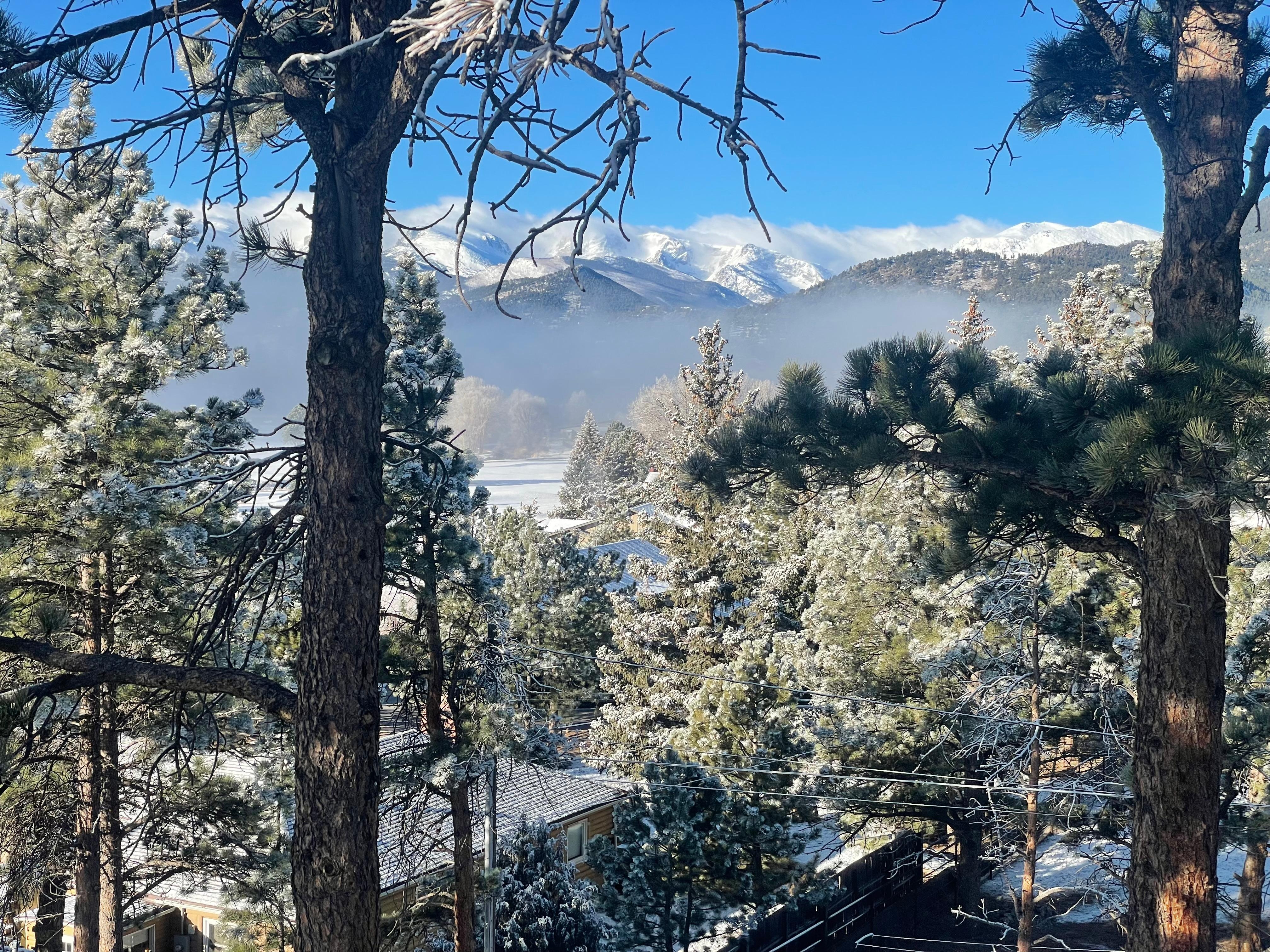 View from sitting room