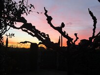 Gorgeous sunrises and sunsets at Villa Vanesse